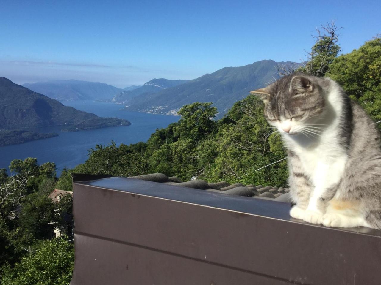 Apartmán Rifugio Dalco Sorico Exteriér fotografie